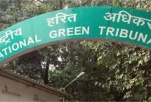 Photo of NGT ने सरकार पर ठोका 50 हजार का जुर्माना, जानें क्या हैं पूरा माजरा