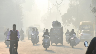 Photo of राजस्थान में सर्दी ने दिखाई तीखी दस्तक