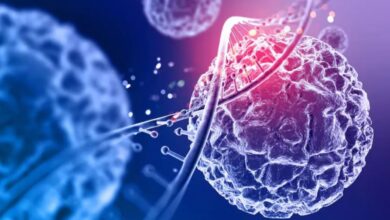 Photo of अब बैक्टीरिया को ‘हैक’ करके होगा कैंसर का इलाज