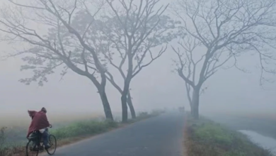 Photo of मध्य प्रदेश में ठंड ने तोड़ा 84 साल का रिकॉर्ड