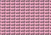 Photo of साली को खोजने में लोगों को घूम गया है दिमाग