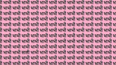 Photo of साली को खोजने में लोगों को घूम गया है दिमाग