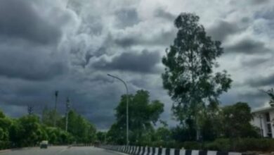 Photo of राजस्थान में उत्तरी हवाओं से बढ़ेगी ठंड