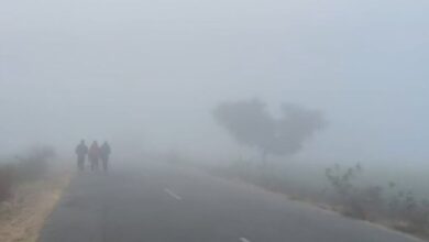 Photo of राजस्थान में कड़ाके की सर्दी जारी,करौली, फतेहपुर समेत कई शहरों में पारा गिरा