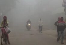 Photo of  बिहार के इन 33 जिलों घने कोहरे का अलर्ट, पछुआ हवा ने बढ़ाई ठिठुरन
