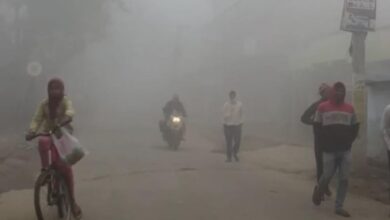 Photo of  बिहार के इन 33 जिलों घने कोहरे का अलर्ट, पछुआ हवा ने बढ़ाई ठिठुरन