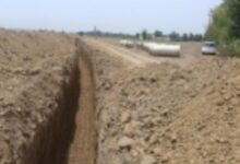 Photo of राजस्थान में ‘सेम’ की बढ़ती मार; 2 लाख हेक्टेयर कृषि भूमि प्रभावित