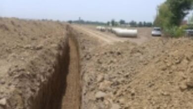 Photo of राजस्थान में ‘सेम’ की बढ़ती मार; 2 लाख हेक्टेयर कृषि भूमि प्रभावित