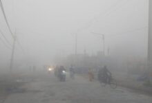 Photo of पंजाब में घना कोहरा: फिरोजपुर में सड़क हादसे में रोडवेज चालक की मौत