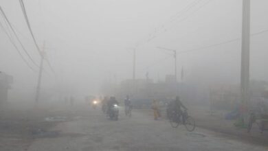 Photo of पंजाब में घना कोहरा: फिरोजपुर में सड़क हादसे में रोडवेज चालक की मौत