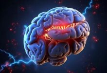 Photo of बोरिंग काम भी लगने लगता है मजेदार और मिलती है अच्छी नींद…