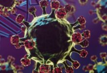 Photo of 2025 में गूगल पर सबसे ज्यादा सर्च किया गया HMPV वायरस