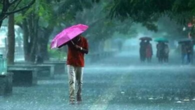Photo of हरियाणा में 5 जिलों में ऑरेंज अलर्ट, इस दिन होगी बारिश…