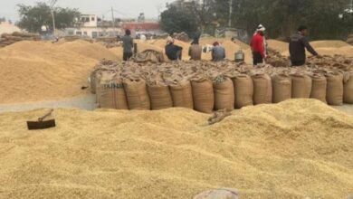 Photo of पंजाब में धान पर बाढ़ की मार: खरीद का लक्ष्य नहीं हो पाया पूरा