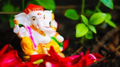 Photo of Vighneshwar Chaturthi पर क्या रहेगा पूजा का समय, यहां पढ़ें गणेश जी के मंत्र और आरती