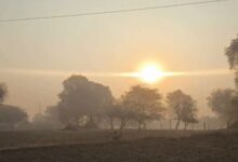 Photo of सर्द हवाओं से कांपा राजस्थान; सीकर-अलवर में खेतों और गाड़ियों पर जमी बर्फ