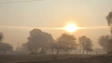 Photo of सर्द हवाओं से कांपा राजस्थान; सीकर-अलवर में खेतों और गाड़ियों पर जमी बर्फ