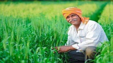 Photo of इन किसानों को हरियाणा सरकार का तोहफा, अब योजनाओं का लाभ लेने में ट्रैक्टर नहीं बनेगा बाधा…