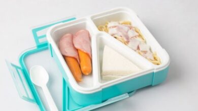 Photo of प्लास्टिक के डब्बे में टिफिन ले जाना कितना सुरक्षित, जान लें