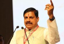 Photo of इंटरनेशनल चीता दिवस: कूनो नेशनल पार्क में तीन चीतों को छोड़ेंगे सीएम मोहन यादव