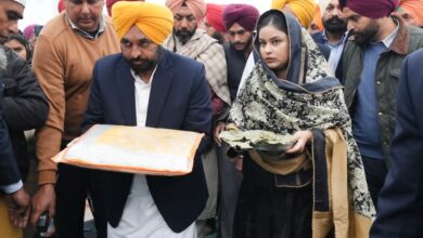 Photo of पंजाब सरकार ने शहीदी सभा के दौरान श्रद्धालुओं की सुविधा के लिए व्यापक प्रबंध किए: सीएम मान