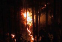 Photo of उत्तराखंड हाईकोर्ट ने जंगल की आग पर विशेषज्ञों से मार्गदर्शन मांगा