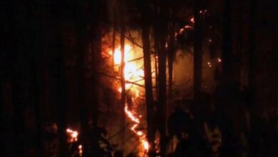 Photo of उत्तराखंड हाईकोर्ट ने जंगल की आग पर विशेषज्ञों से मार्गदर्शन मांगा