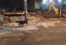 Photo of दिल्ली: अतिक्रमण हटाने के लिए फैज-ए-इलाही मस्जिद के पास चला बुलडोजर