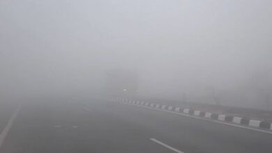Photo of हरियाणा में कोहरे का कहर: अंबाला में ट्रक से टकराई हरियाणा रोडवेज बस