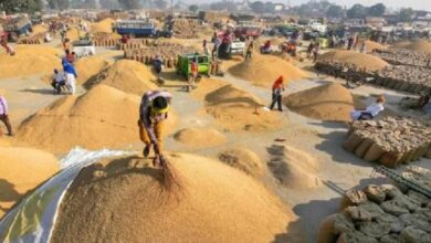 Photo of छत्तीसगढ़ में धान खरीदी तेज, 23.48 लाख किसानों को मिला 29 हजार 597 करोड़ का भुगतान