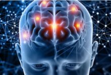 Photo of सिर्फ ‘आदत’ नहीं है बार-बार एक ही गलती दोहराना, दिमाग की सूजन हो सकती है इसकी असली वजह