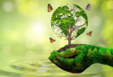 Photo of विमानन उत्सर्जन से पर्यावरण को खतरा