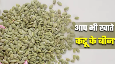Photo of सेहत पर भारी पड़ सकते हैं सेहतमंद ‘कद्दू के बीज’