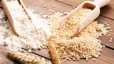 Photo of उत्तराखंड: साढ़े नौ लाख परिवारों को इस महीने से मिलेगा पांच किलो गेहूं