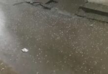Photo of पंजाब में बारिश: लगातार दो पश्चिमी विक्षोभ से मौसम बदला, पटियाला में गिरे ओले