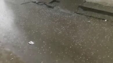 Photo of पंजाब में बारिश: लगातार दो पश्चिमी विक्षोभ से मौसम बदला, पटियाला में गिरे ओले