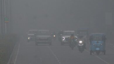 Photo of कोहरे की चपेट में पंजाब: अमृतसर समेत 9 शहरों का पारा 5 डिग्री से नीचे