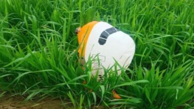 Photo of हरियाणा के इस जिले में मिला संदिग्ध गुब्बारा, लिखा है पाकिस्तान इंटरनेशनल एयरलाइन