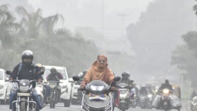 Photo of  कोहरे की चपेट में मध्यप्रदेश, कई इलाकों में पारा 4 डिग्री के करीब