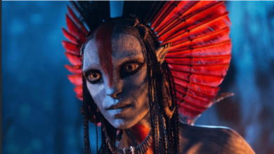Photo of अवतार 3′ को नहीं हिला पाई ‘धुरंधर’, हॉलीवुड फिल्म ने 16 दिन में बनाया बड़ा रिकॉर्ड