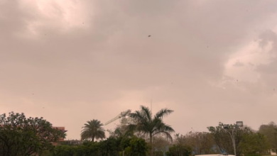 Photo of प्रदेश में कड़ाके की सर्दी, 7 जिलों में शीतलहर का अलर्ट