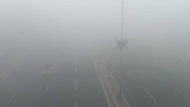 Photo of राजधानी समेत अवध क्षेत्र में सुबह-सुबह कोहरे की बारिश