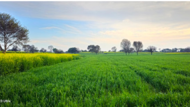 Photo of हरियाणा में दिन-रात के तापमान में बढ़ोतरी: आज सक्रिय होगा नया विक्षोभ