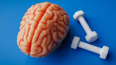 Photo of सिर्फ बॉडी ही नहीं, दिमाग को भी ‘फिट’ रखती है एक्सरसाइज