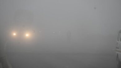 Photo of  मध्य प्रदेश में धुंध ने थामी रफ्तार, 30 से ज्यादा जिलों में कोहरा