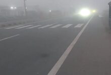 Photo of राजस्थान में धूप खिली, कई शहरों में पारा चढ़ा, रातें अब भी ठंडी