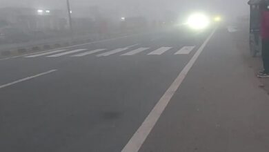 Photo of राजस्थान में धूप खिली, कई शहरों में पारा चढ़ा, रातें अब भी ठंडी