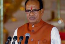 Photo of शिवराज बोले-भारत-अमेरिका ट्रेड डील में किसान हित सुरक्षित, GM उत्पादों को नहीं मिलेगी एंट्री