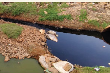 Photo of इंदौर में और भी भागीरथपुरा बनने की आहट: उद्योगों के केमिकल वेस्ट से जहरीला हुआ भूजल