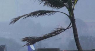 Photo of प्रदेश से कोहरे ने ली विदा, 8 डिग्री के पारे के साथ बरेली रहा सबसे ठंडा